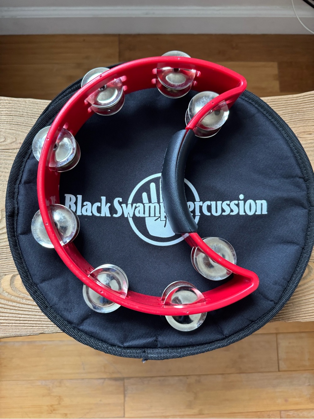 Rhythm Tech Tambourine w/Case